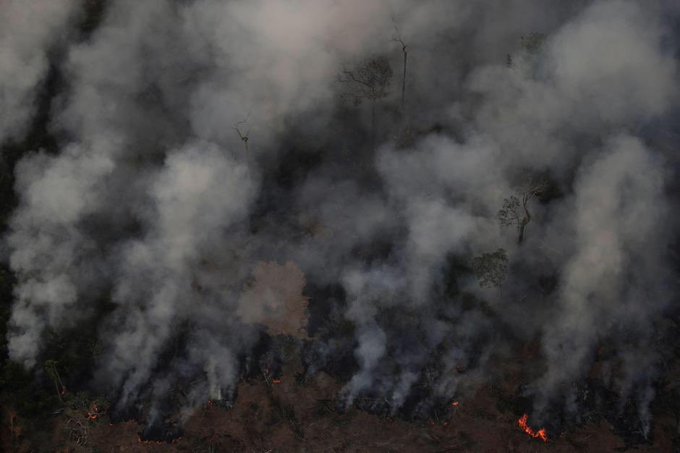 Il Napoli lancia su Twitter un appello per l’Amazzonia che brucia