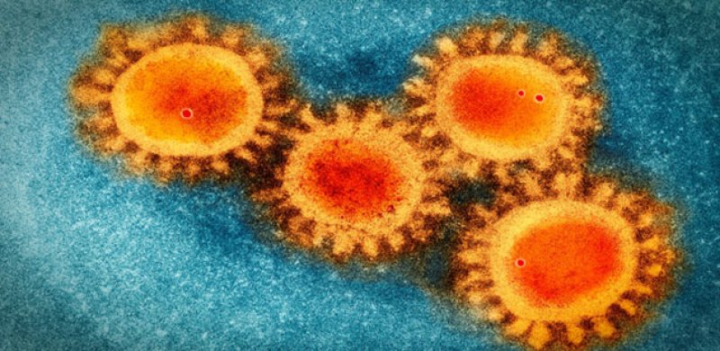 Un test effettuato in Francia rivela che il virus non morirà con l’arrivo dell’estate